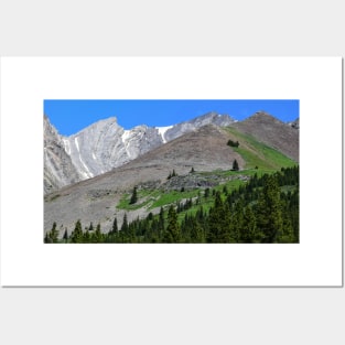 Summer Mountain Scene. Posters and Art